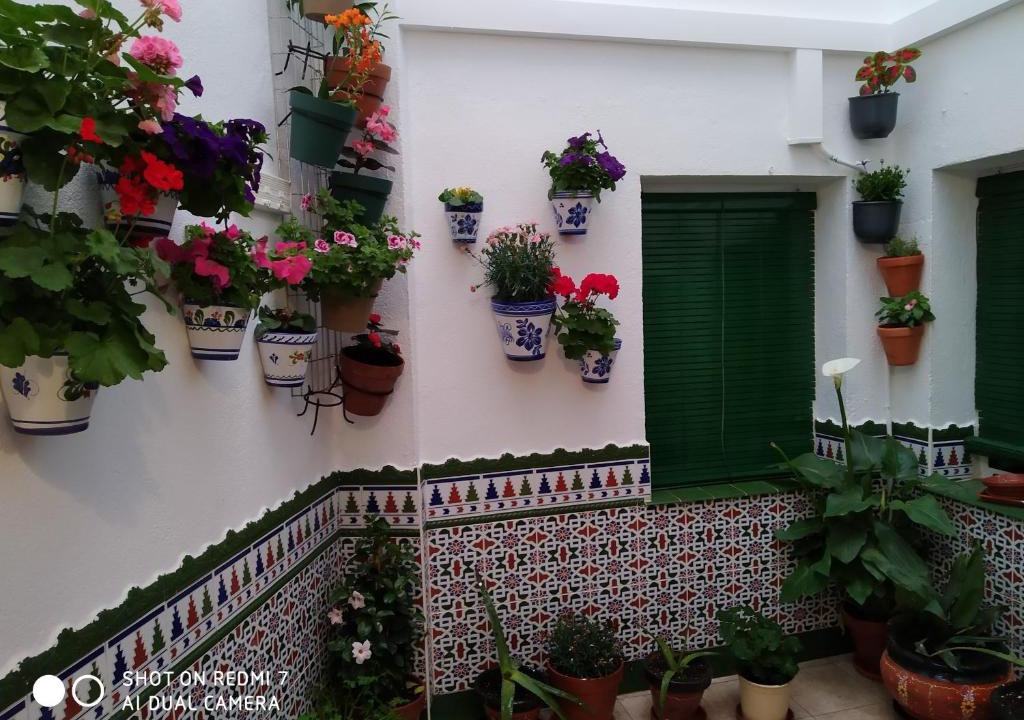 Almagro Apartment | Alicante-Rental Alojamientos Turisticos CULTURAS Y COLORES EN ALMAGRO -Parking -Promocion EMPRESAS-