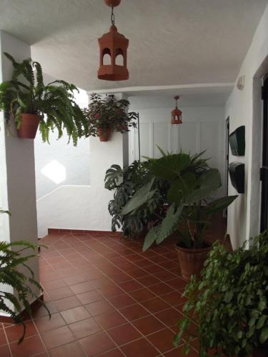 Conil de la Frontera City Center Apartment | Apartamento CAMPANILLAS