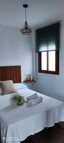 El Lentiscal Apartment | Apartamentos Bolonia - M a n u e l a