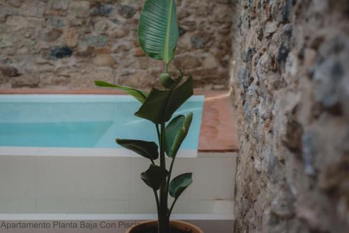 Merida Old Town Apartment | Apartamentos Durán Pizarro 1930