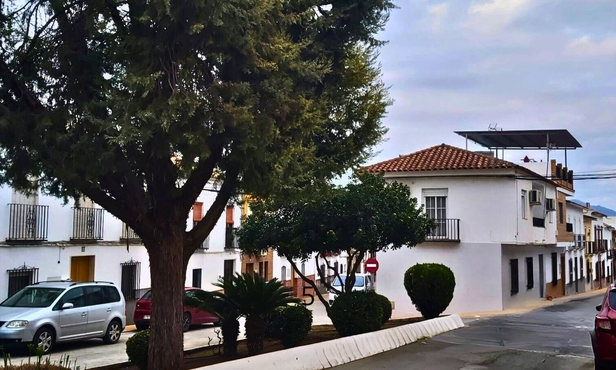 Encinas Reales House | Arcadia, Andalusia center