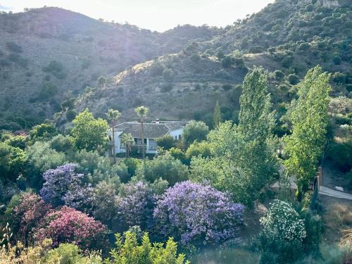 Almogia Villa | Authentic Luxury Villa in Oasis with Pool close to Malaga