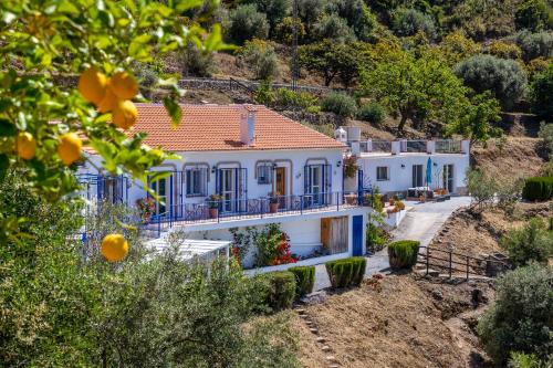 Canillas de Albaida Bed & Breakfast | B&B Finca Floretta