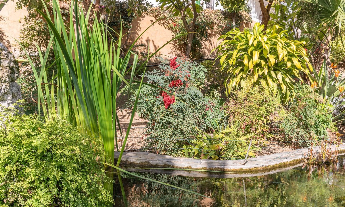 Oasis del Capistrano Apartment | Baya de Nerja - Oasis Properties