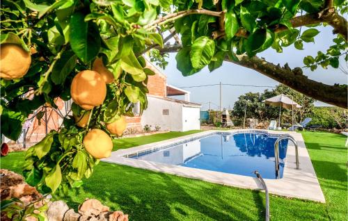 Alcolea del Rio House | Beautiful Home In Alcolea Del Rio