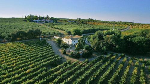 Montilla House | Bodega Boutique Finca Buytrón