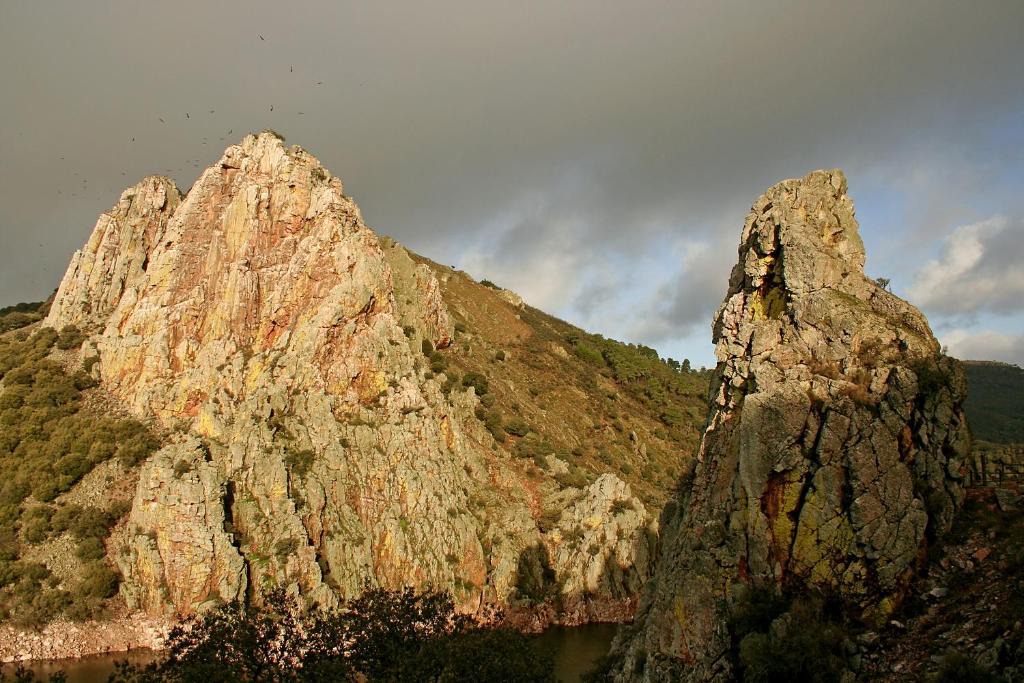 Malpartida de Plasencia Other | Bungalows Camping Parque Nacional de Monfragüe
