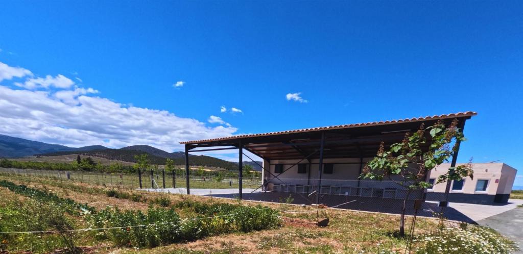 Jerez del Marquesado Other | Camping & Área de Autocaravanas Las Viñas
