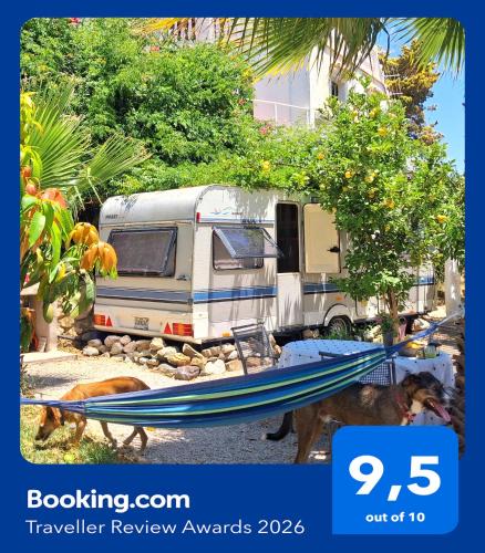 Almayate Bajo Other | Caravan in Finca Molino in Almayate with Pool, Sea Views, Family Family Touch & Dog Madness