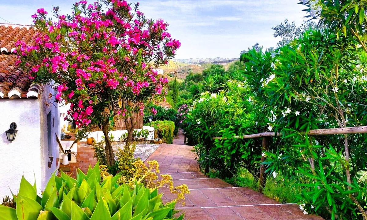 El Borge House | Casa 1/andalusian architecture in a beautiful green oasis 1 km from El Borge