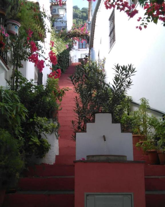 Benamahoma House | CASA EL CALLEJON DE BENAMAHOMA