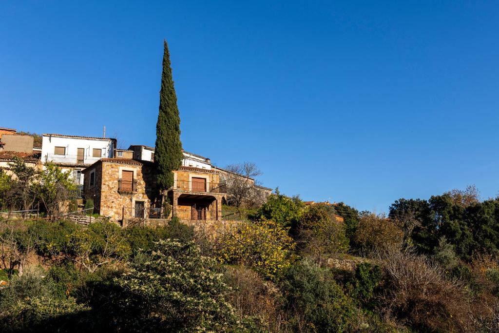 Torre de Don Miguel House | Casa Rural El Abeto