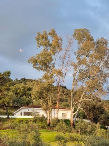 Constantina House | Casa Rural el Mirador de Nati