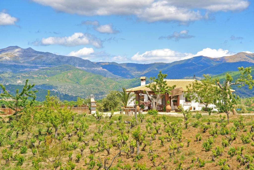 Farajan House | Casa Rural Juzcar