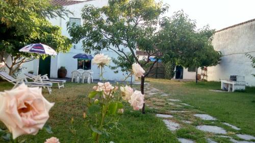 Sanjuanejo House | Casa Rural San Blas
