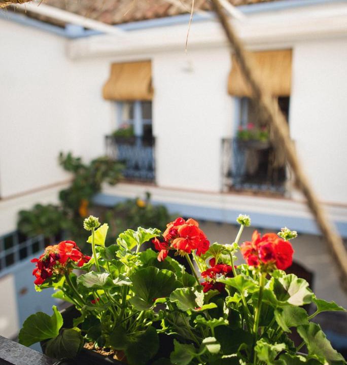 San Francisco-Ribera Apartment | CASA SIRFANTAS