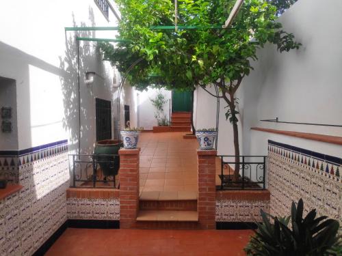 Archidona House | Casa Virgen de Gracia