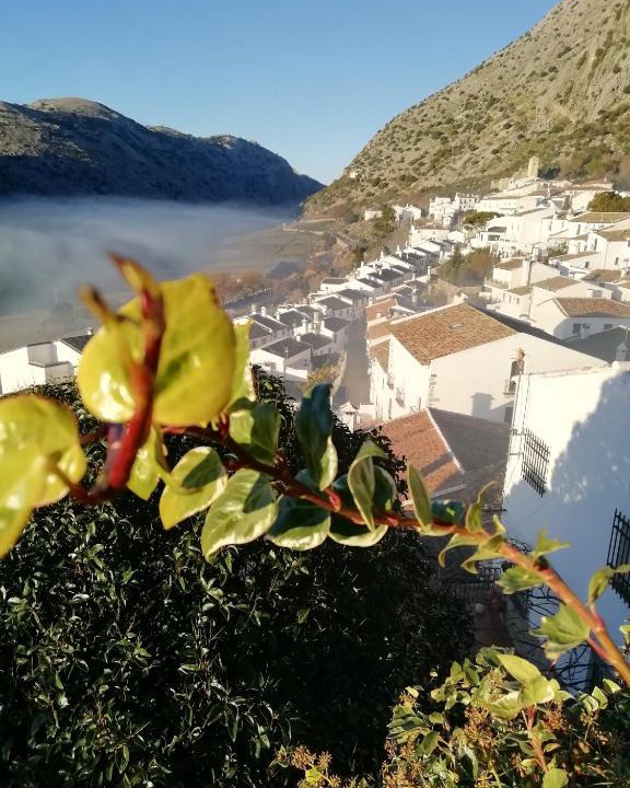 Villaluenga del Rosario House | Casadevillaluenga