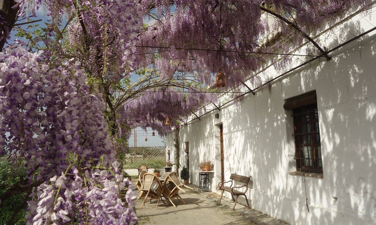 Churriana de la Vega Cottage | Charming rural house with swimming pool 3 km from the city of Granada. parking