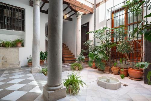 Albaicin Apartment | Charming Spacious Albayzin Apartment