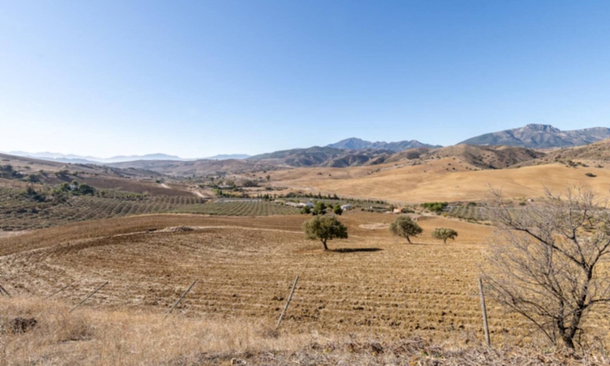 Casarabonela Other | CT 131 Campo Dream en Alora
