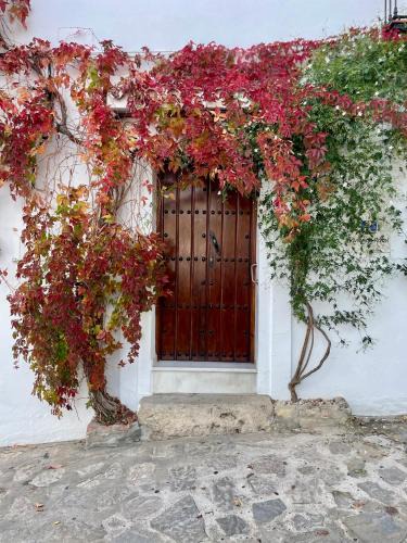 Grazalema Apartment | CUEVAS del PEÑÓN
