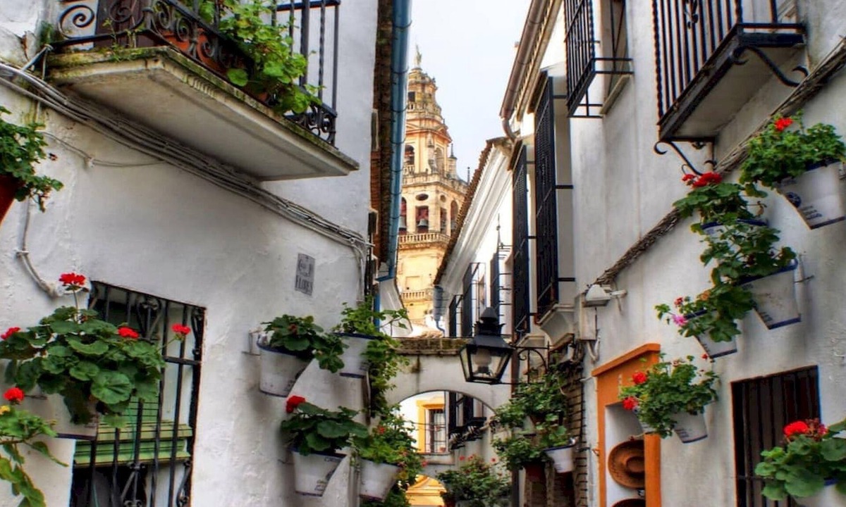 Ciudad Jardin Apartment | El Califa Apartment - 2 Rooms ⭐