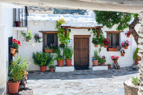 Capileira House | El Gato Negro
