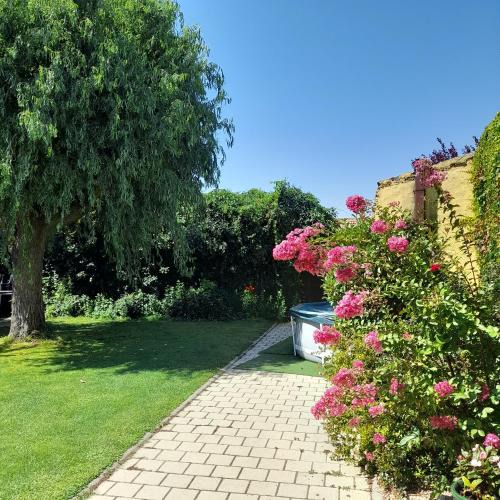 Nieva House | El Molino
