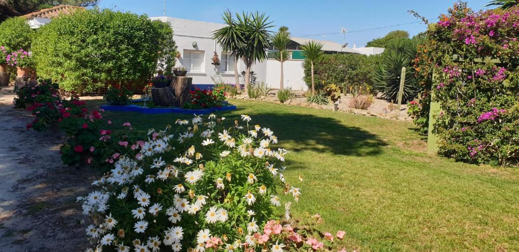 Rota House | En Resort Fincas Las Dunas dos Chalets con jacuzzis en primera linea de playa , uno de 4 dormitorios y otro de 2 dormitorios, Llama al Seiscientos veintisiete Cuatrocientos diecisiete Trescientos noventa y ocho