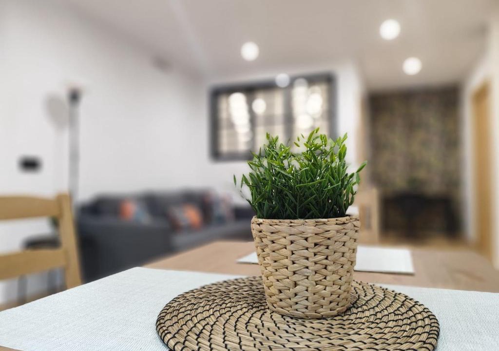 Andujar Apartment | Fernando Quero 21