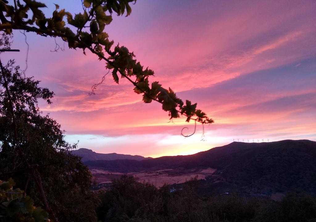 Alora House | Finca La Piedra Holidays
