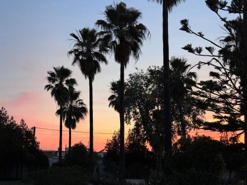 Utrera House | Finca Los Olivos & spa, animaux