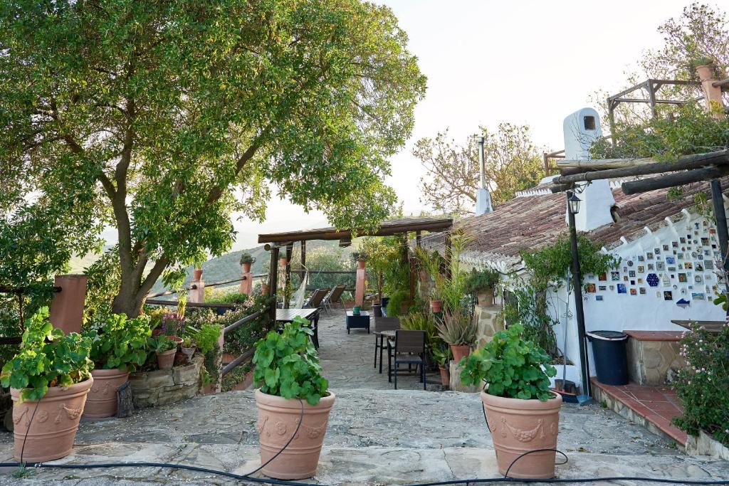 Antequera House | Finca Sábila