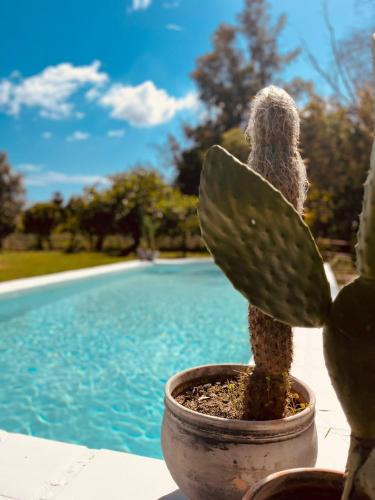 Coin Cabin | Finca W - Coín - Málaga - Andalucía