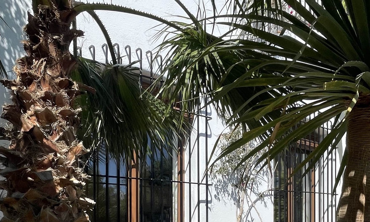 Las Negras Apartment | Garden ground floor studio in La Washingtonia