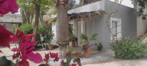 Benajarafe Apartment | Guesthouse Sleeps 2 - Pool Access