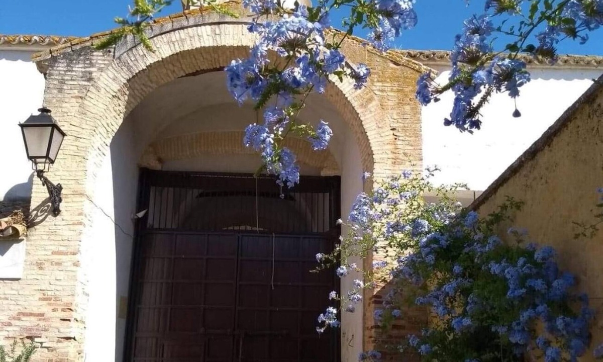 Carmona Hotel | Hacienda Los Jinetes