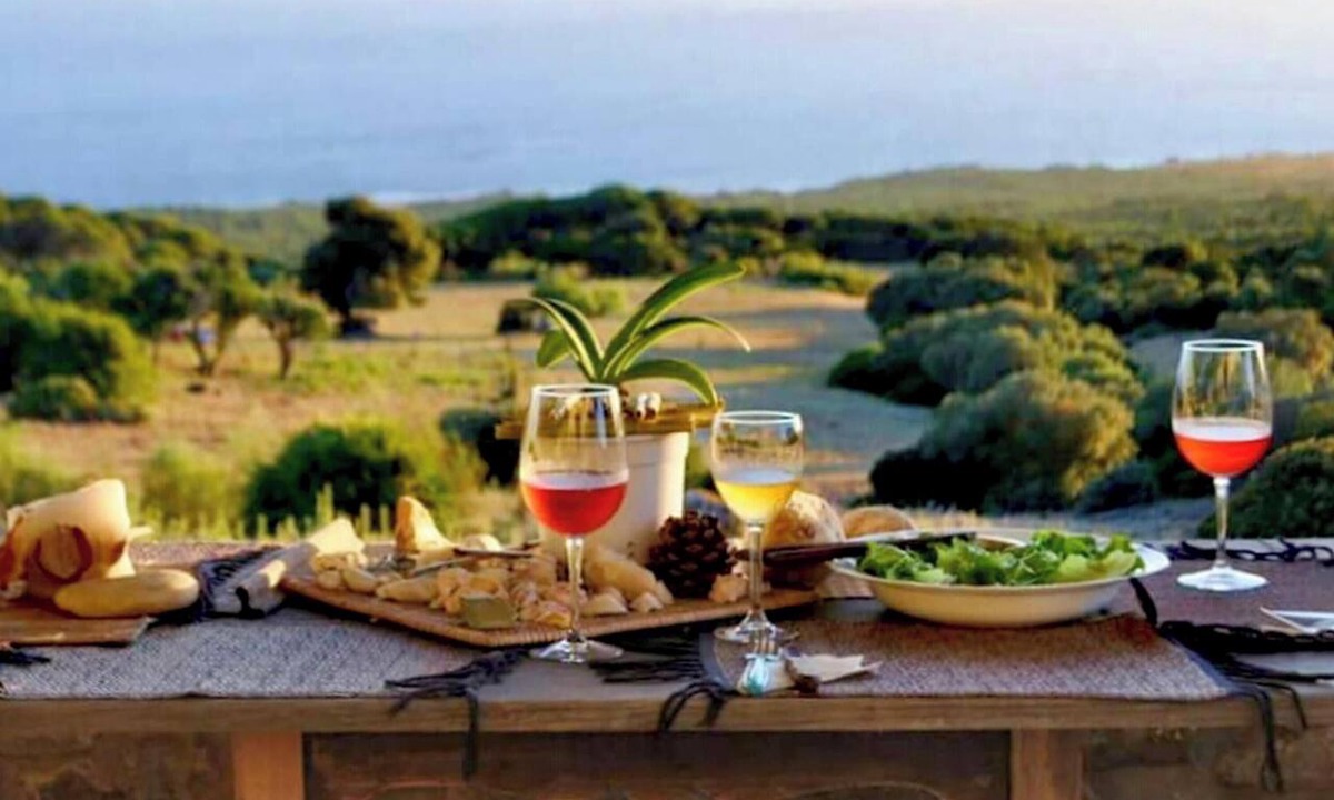 Bolonia House | Homerez - House in El Chaparral
