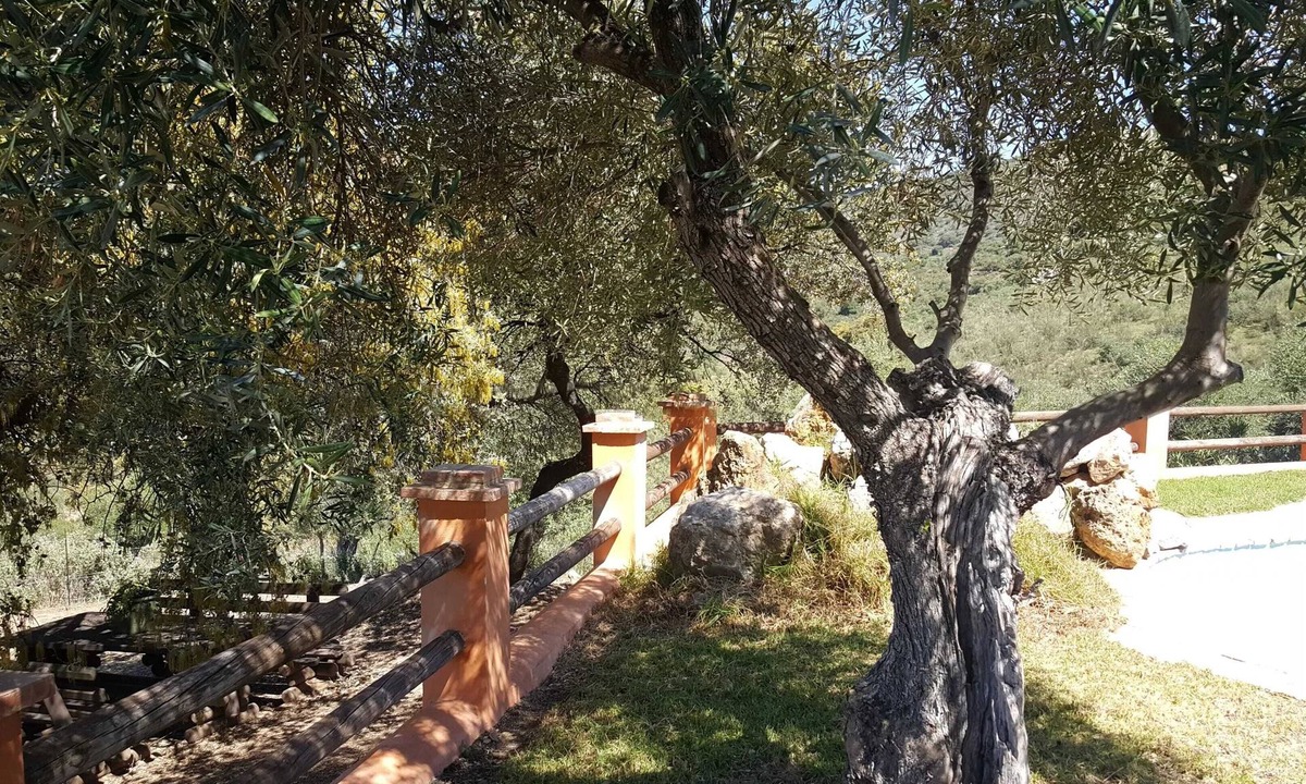 Puerto Serrano Villa | Homerez - Villa Puerto Serrano