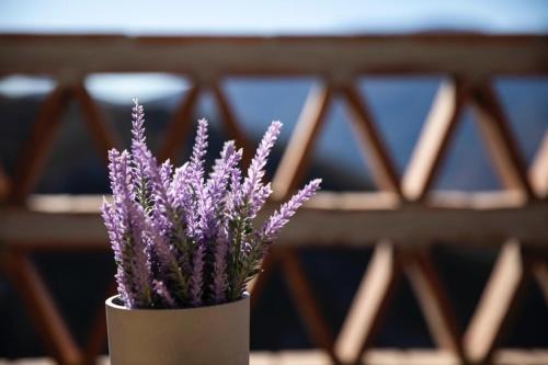 Carataunas Apartment | Host Carataunas Tres