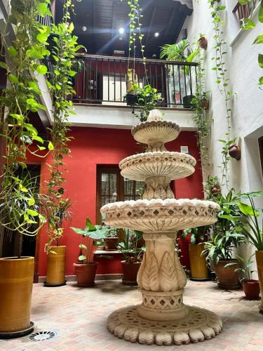 Conil de la Frontera City Center House | Hostal Al-Andalus