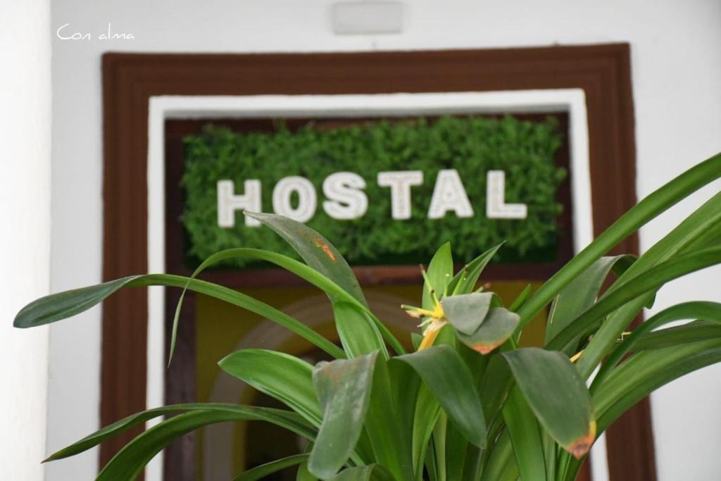 Chipiona House | Hostal Costa de la Luz