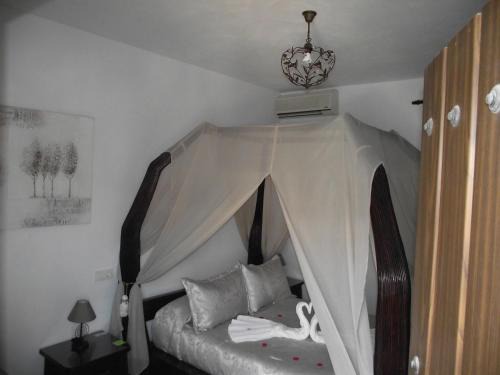 Conil de la Frontera House | Hostal El Canario