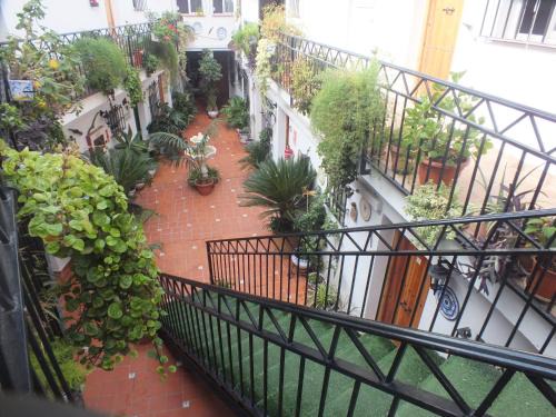 Alhaurin de la Torre House | Hostal El Patio