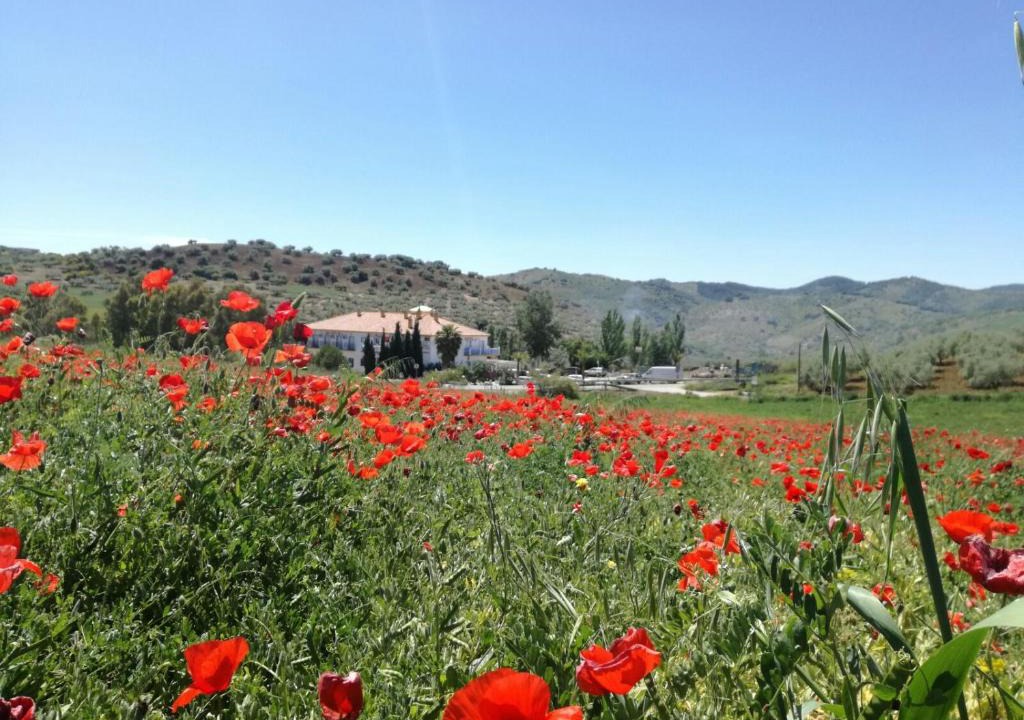 Colmenar Hotel | Hotel Arco del Sol