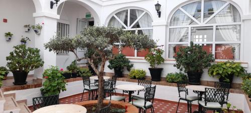 Arcos de la Frontera Hotel | Hotel Los Olivos