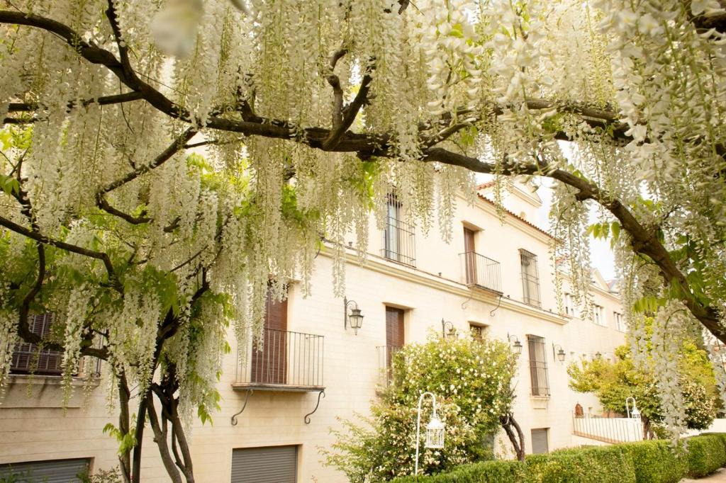 Cazalla De La Sierra Hotel | Hotel Rural Posada del Moro