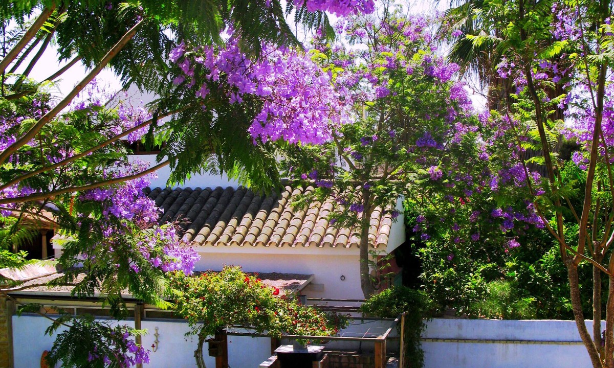 Conil de la Frontera Cottage | HOUSE JACARANDA 2 ROCHE VIEJO