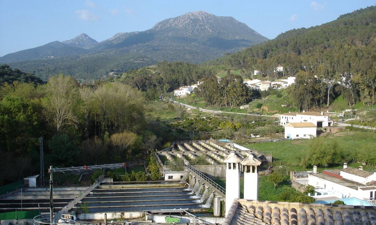 El Bosque House | House view of the Sierra